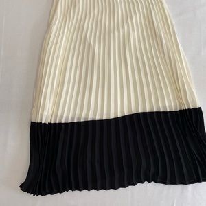 XXI Skirt